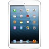 Apple iPad mini 16Gb Wi-Fi + Cellular белый - Валуйки